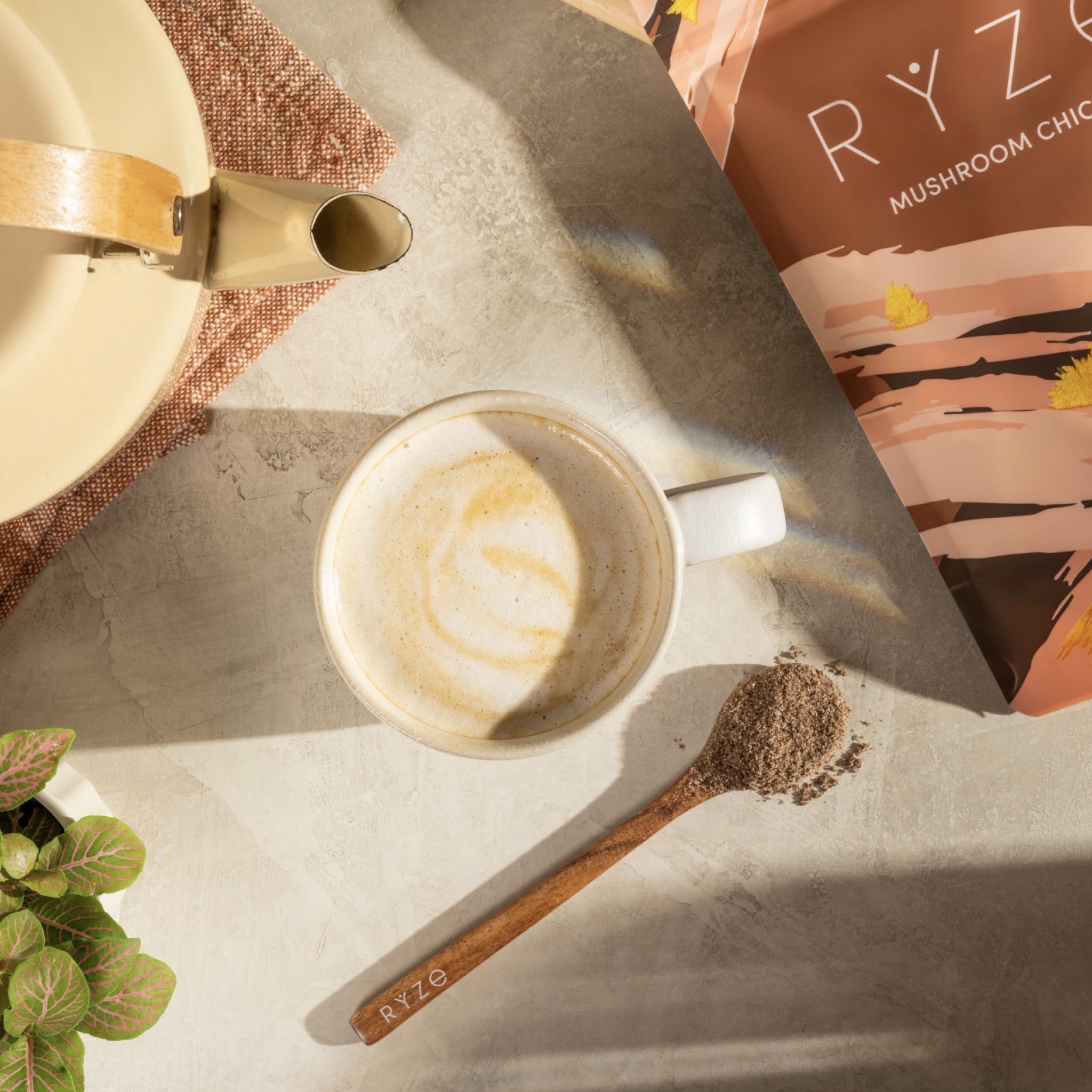Mushroom Chicory (30 Servings) - Superfood Coffee Blend