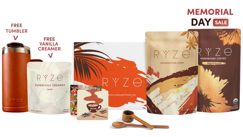 Boosted Chai Latte Bundle (Chai + Coffee) - Daily Energy Blend