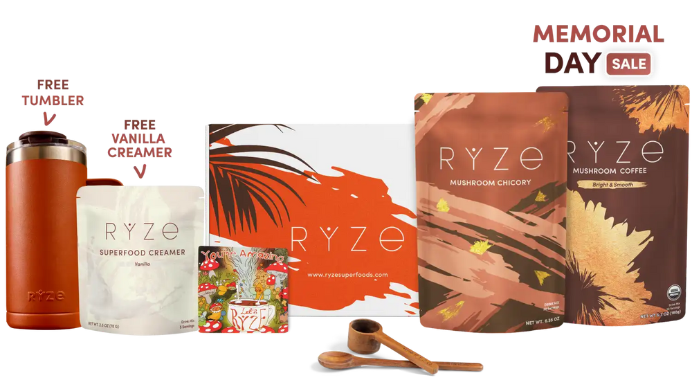 Lasting Energy Bundle (Chicory + Coffee) - Coffee Alternative for Afternoon Coffee