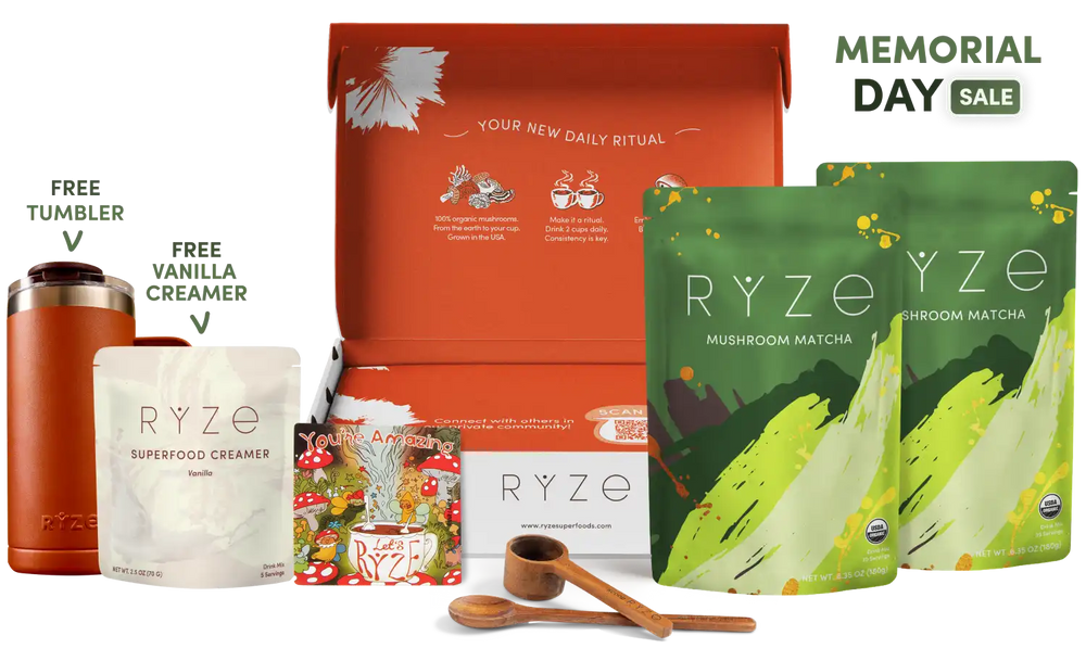 Mushroom Matcha Starter Kit (60 Servings) - Smooth Morning Brew